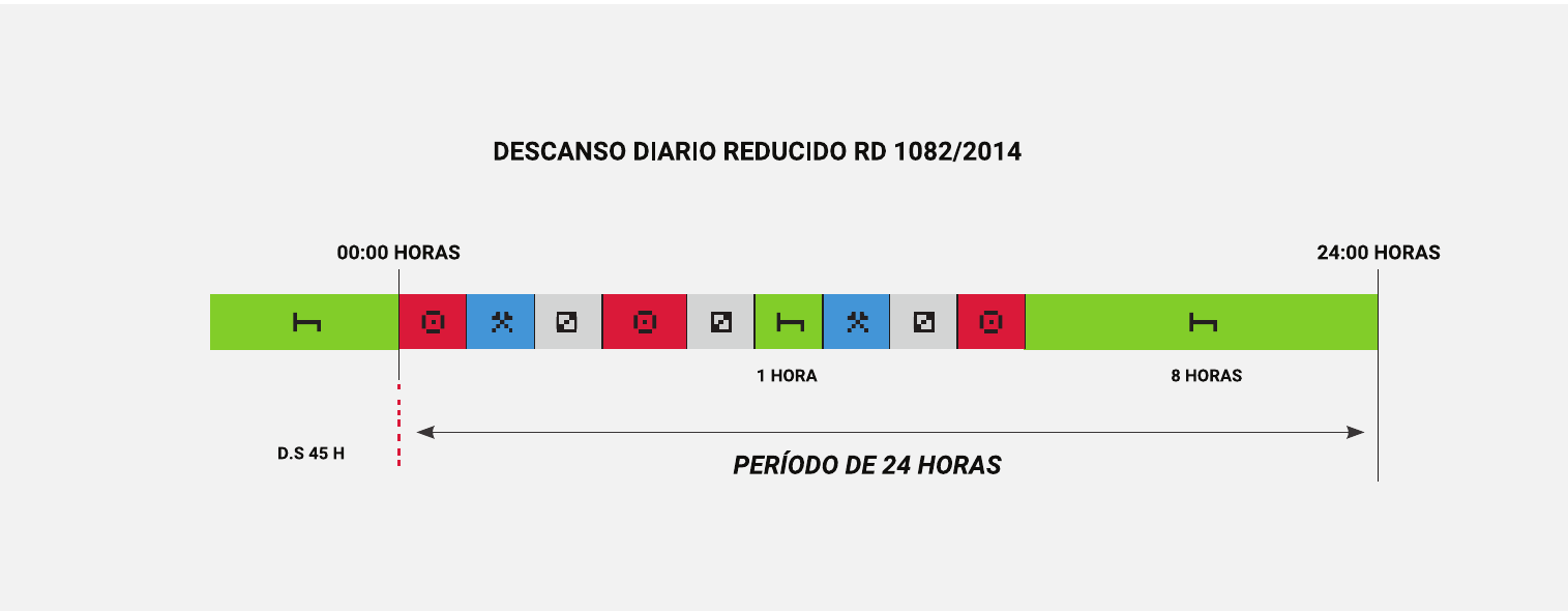Cronología de veinticuatro horas con dos períodos de descanso de una y ocho horas.