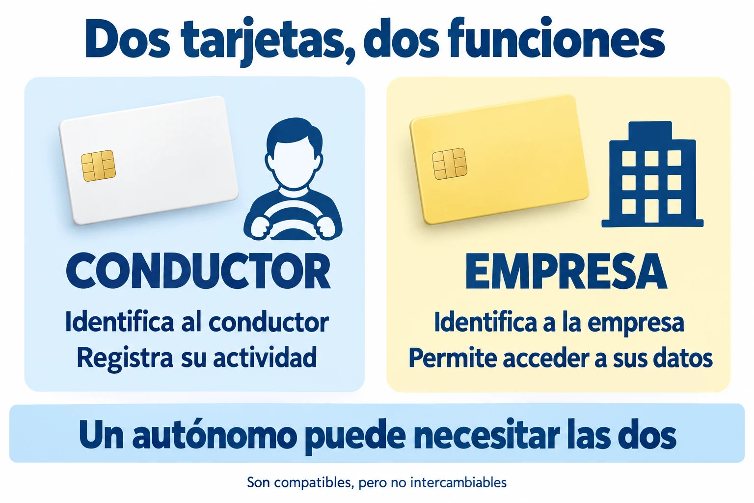La tarjeta de conductor registra su actividad; la de empresa permite acceder a los datos de la empresa. Un autónomo puede necesitar ambas.
