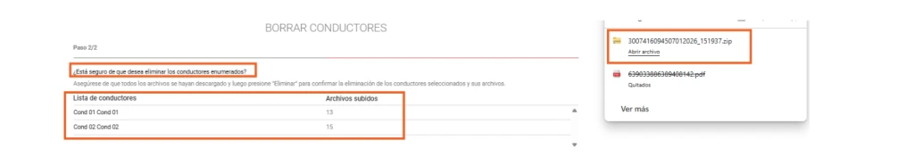 vdo fleet conductores borrar